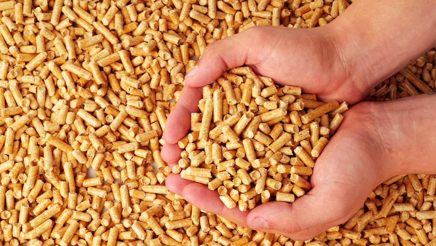 It’s Time for the Pellet to Shine