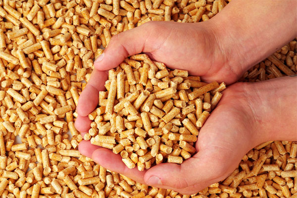 It’s Time for the Pellet to Shine