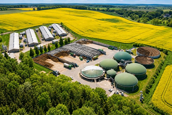 Your CBG Plant Will Fail: Not Because of the Digester But Because of the Biomass Pre-Processing Line